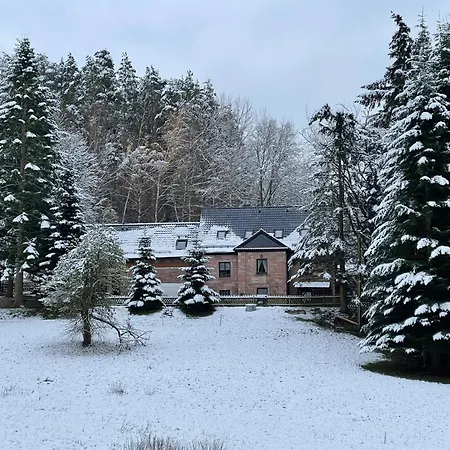 Im Wald - Mit Schwimmbad! Hessles