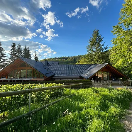 Im Wald - Mit Schwimmbad! * Hessles