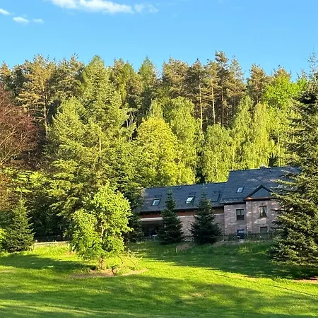 Im Wald - Mit Schwimmbad! * Hessles