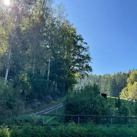 Im Wald - Mit Schwimmbad! *