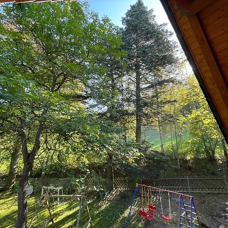 Im Wald - Mit Schwimmbad!