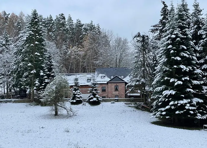Im Wald - Mit Schwimmbad! Hessles