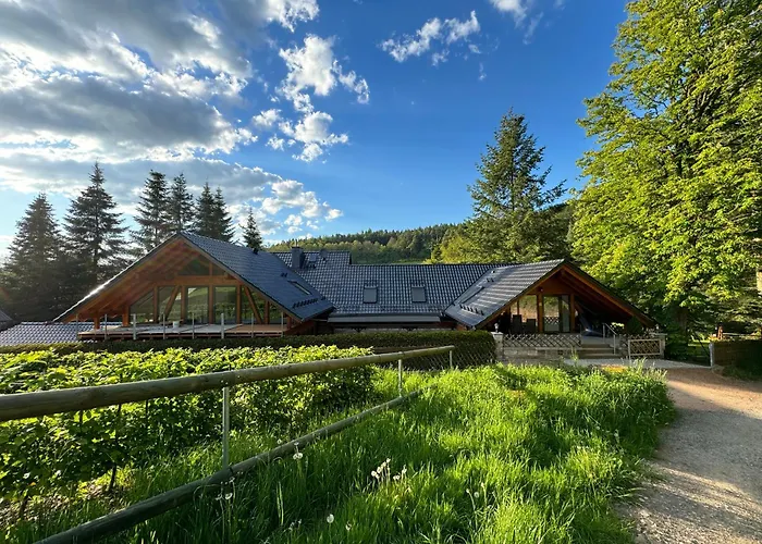 Im Wald - Mit Schwimmbad! * Hessles