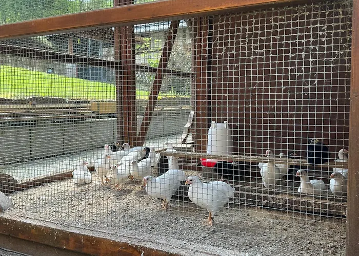 Apartament Im Wald - Mit Schwimmbad! *