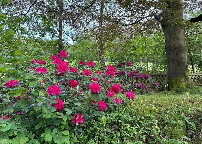 Im Wald - Mit Schwimmbad! Lägenhet *