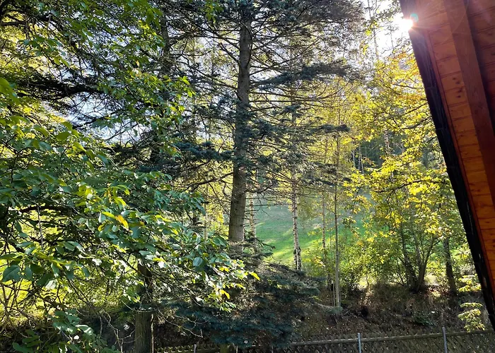 Lägenhet Im Wald - Mit Schwimmbad! *