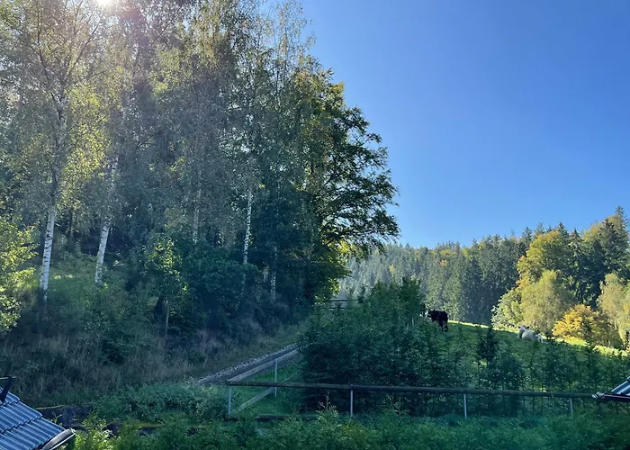 Im Wald - Mit Schwimmbad! *