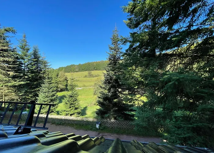 Lägenhet Im Wald - Mit Schwimmbad! Hessles