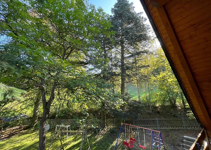 Im Wald - Mit Schwimmbad!