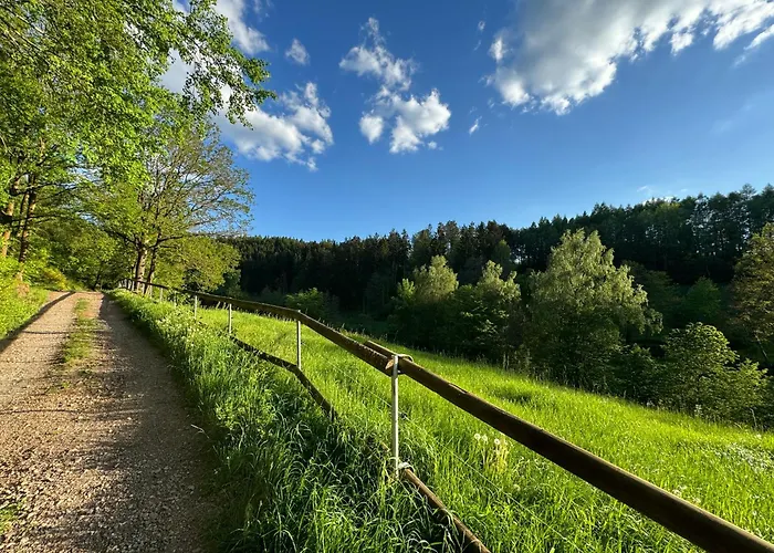 Im Wald - Mit Schwimmbad! * Hessles